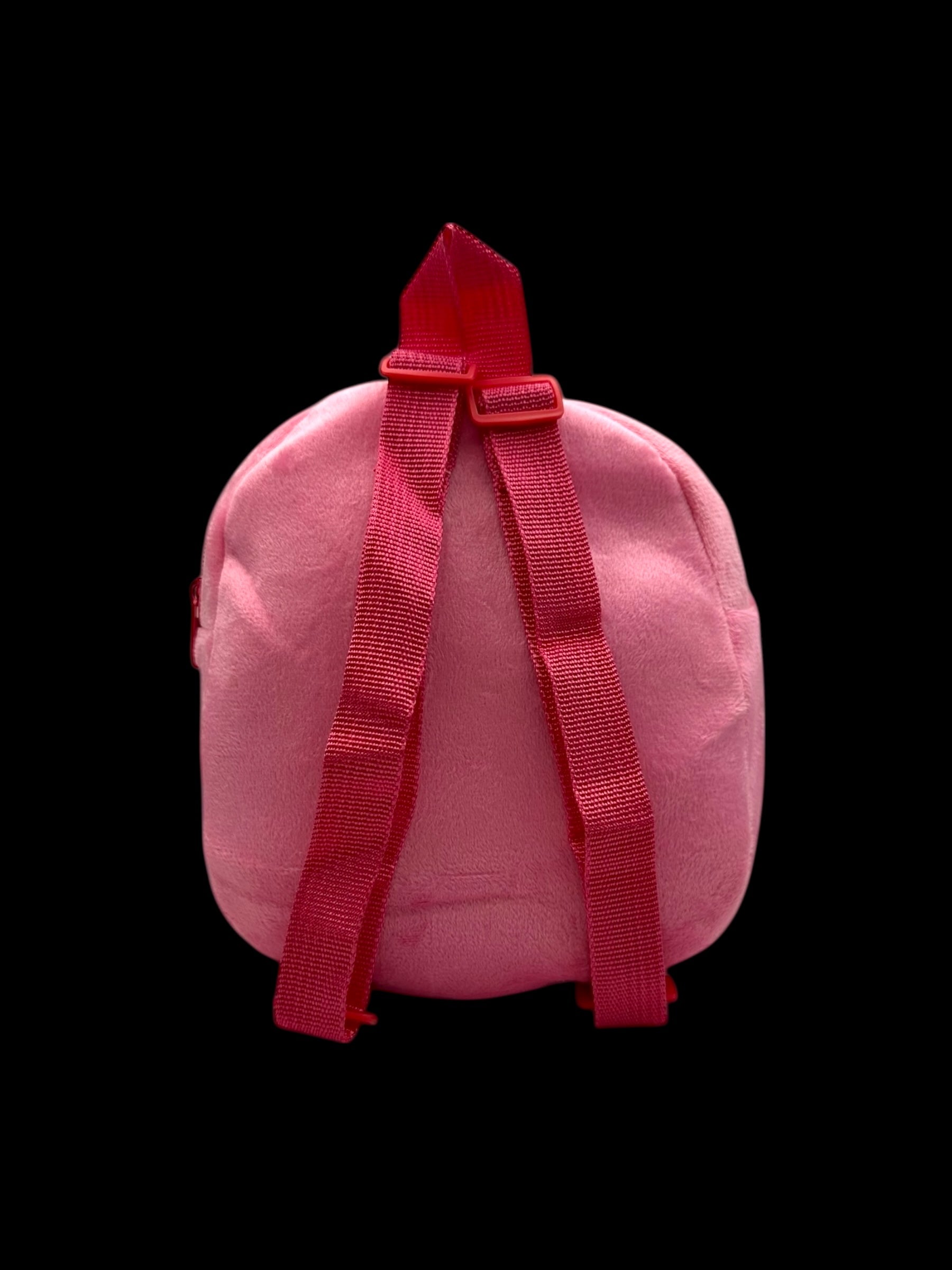 Mini Backpacks