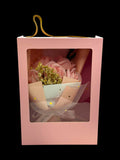 Mini Box Boutique