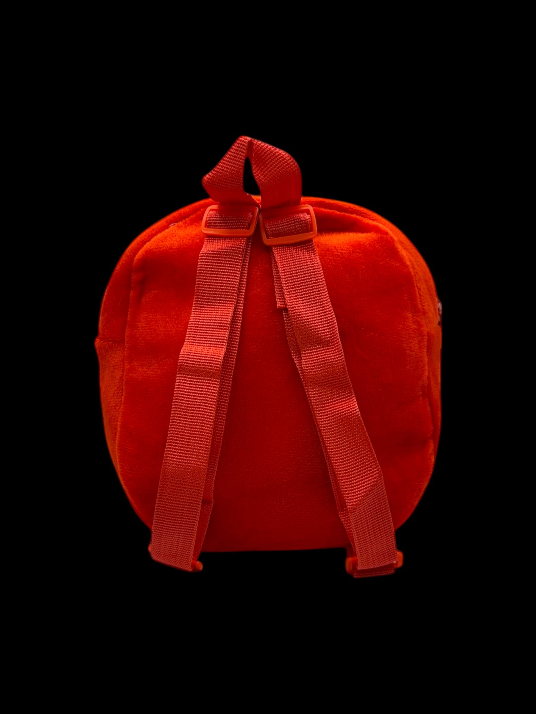 Mini Backpacks